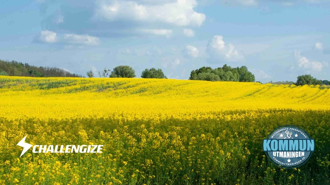 Bild Kommunutmaningen Vår