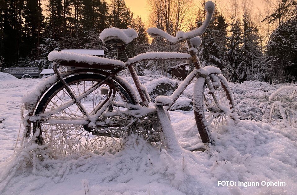 Foto Vintercyklisten